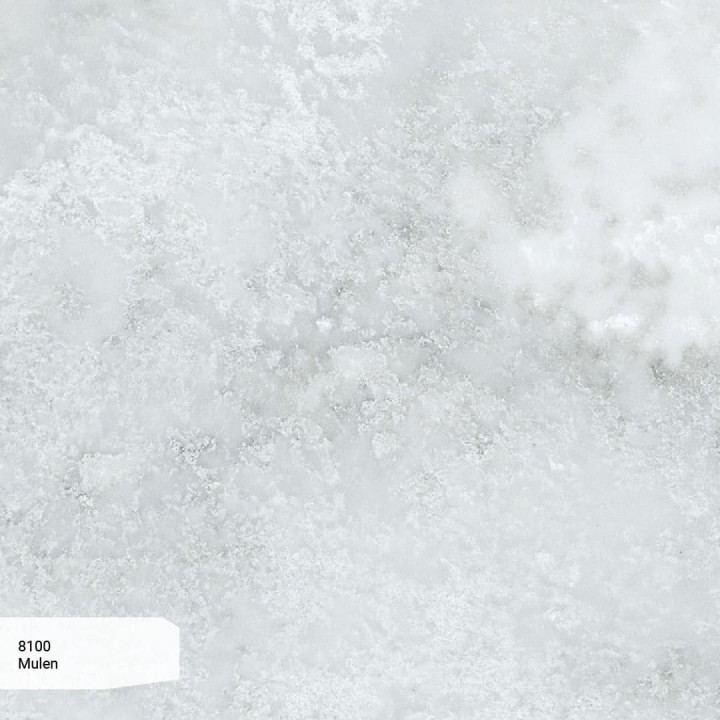 8100_Mulen_ZOOM